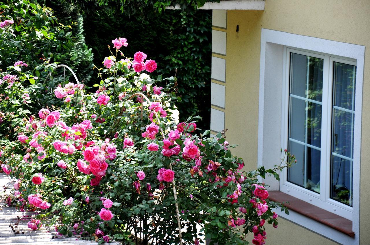Gaestehaus Wachau Leiben Eksteriør bilde